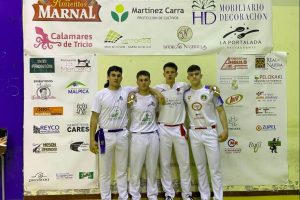 nivel remontada navarros nájera